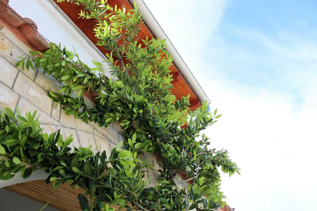 Apartments Vir Delfin Luaran gambar