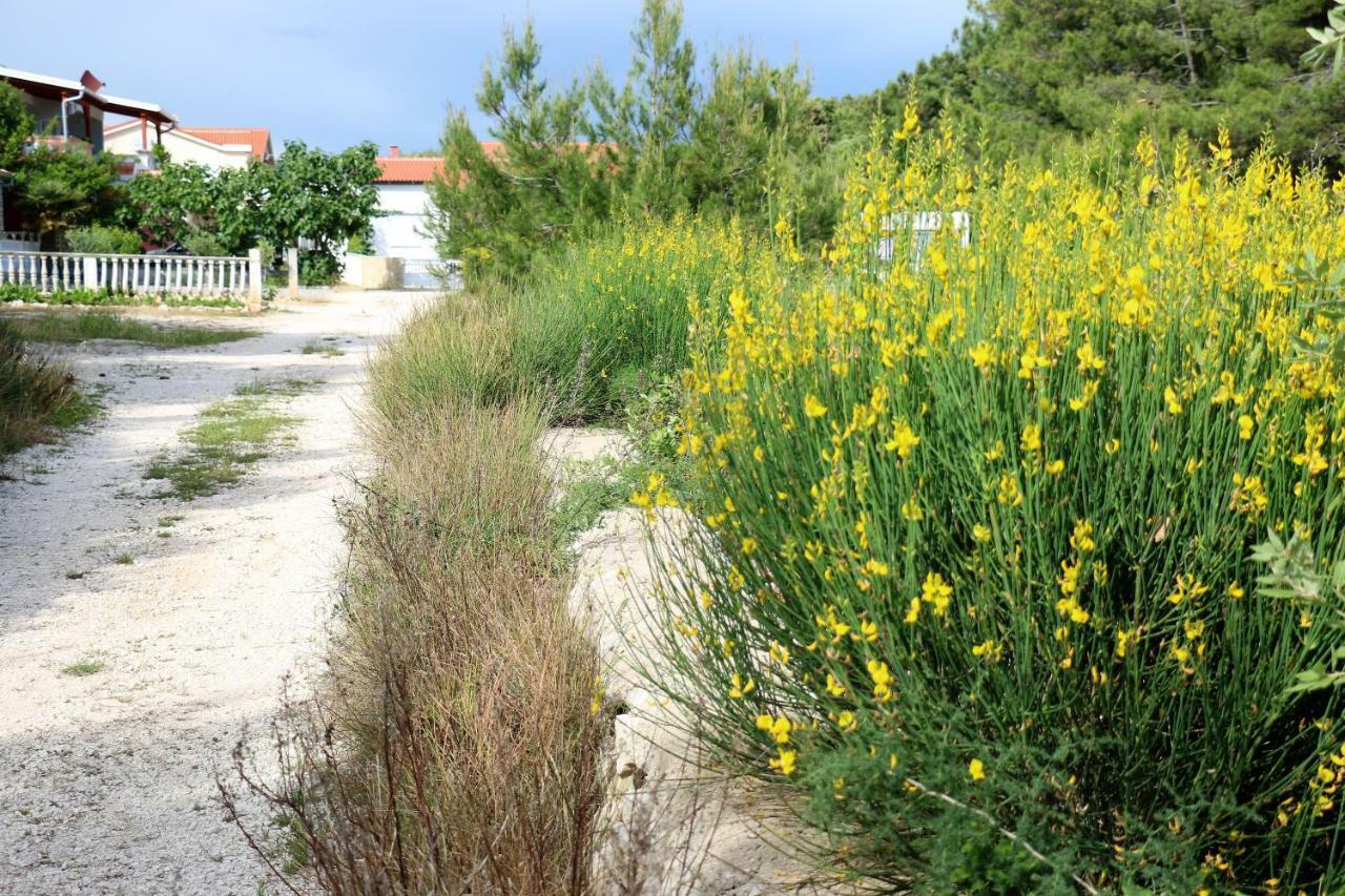 Apartments Vir Delfin Luaran gambar